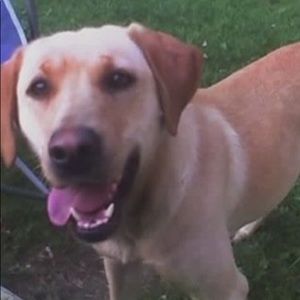 Meet your Posher, Kristy